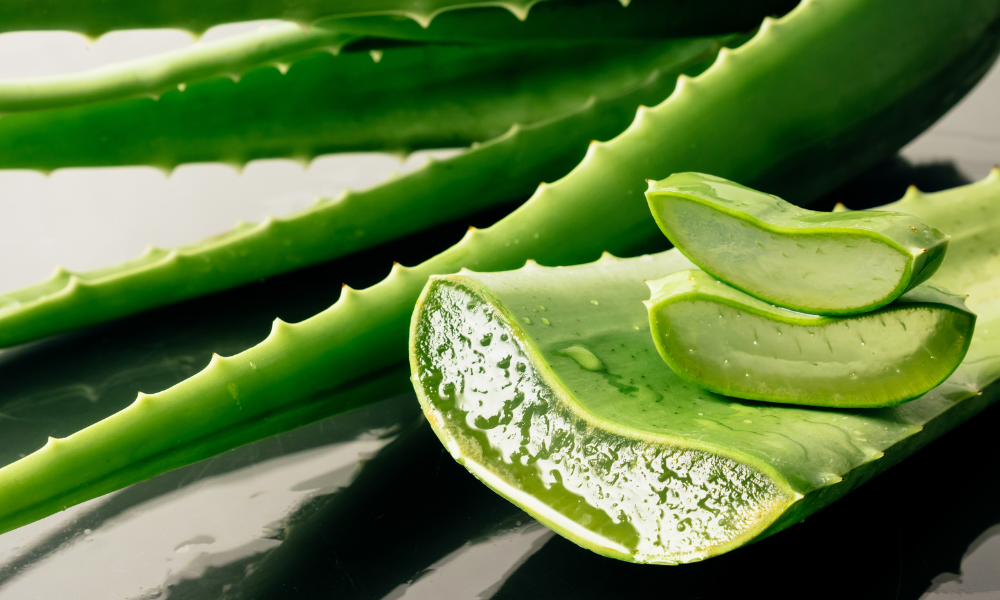 Aloe Vera